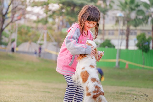 a little girl playing with a dog outside